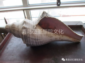 专业巡展遇见青岛记忆之螺钿海贝
