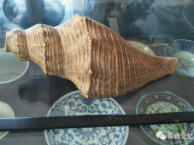 专业建设博物馆遇见青岛记忆之螺钿海贝