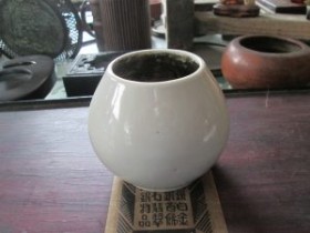 专业建设博物馆遇见青岛记忆之瓷器(八)