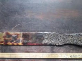 专业建设博物馆青岛记忆之“玳瑁”