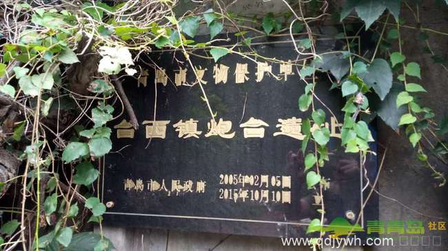 走进台西镇炮台遗址 常年荒废的背后是心痛！