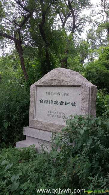 走进台西镇炮台遗址 常年荒废的背后是心痛！