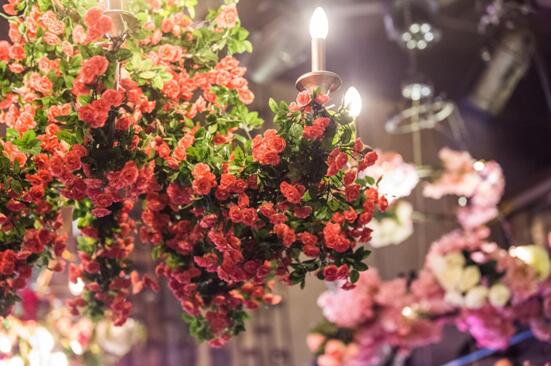 网红餐厅桃花洛国庆期间盛大开业 一场青岛的浪漫邂逅