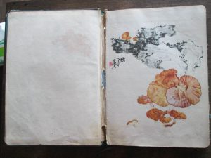 日昇昌古董买卖网站
