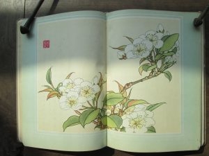 日昇昌鉴定